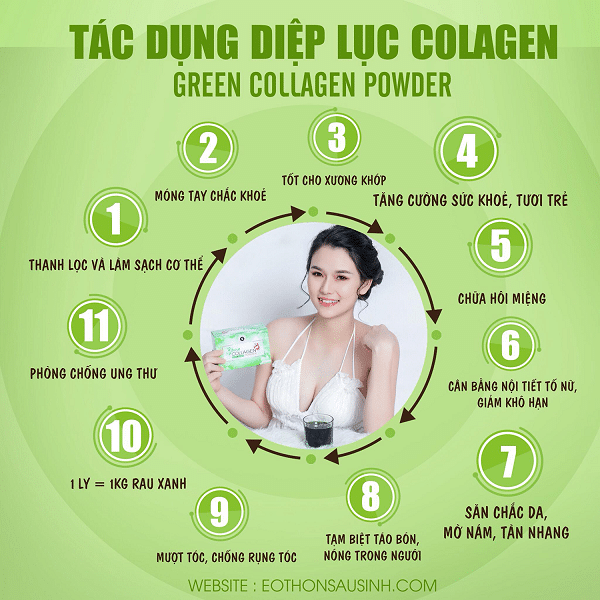 diep-luc-collagen-co-tot-khong