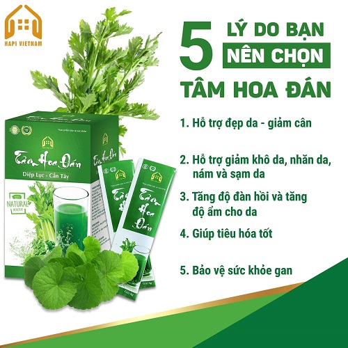 tam-hoa-dan-diep-luc